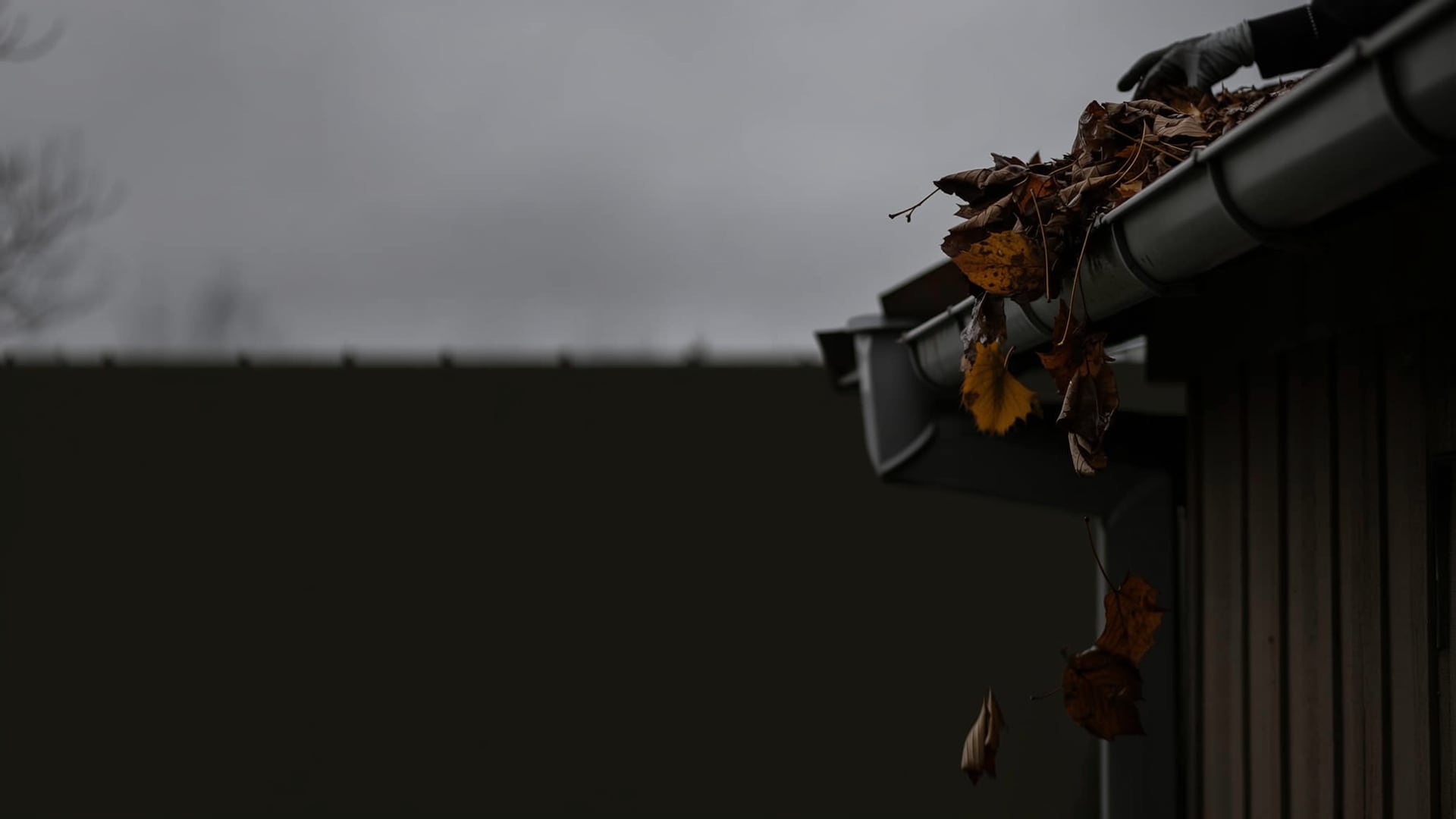 Gloved hands lifting sodden autumn leaves out of a residential roof gutter