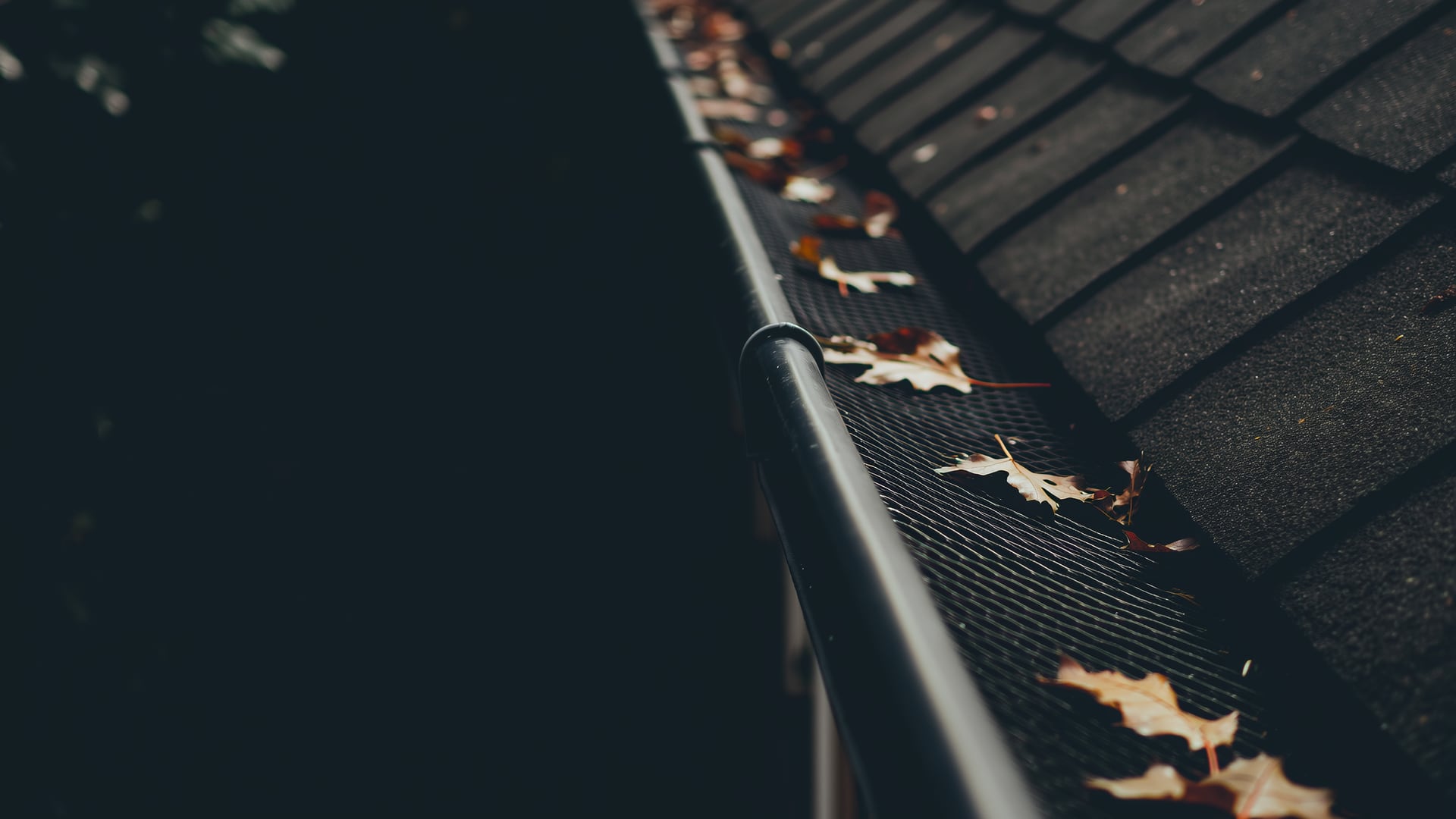 Micro-mesh gutter guard with autumn leaves resting on top instead of falling through