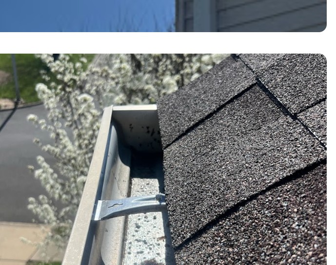 Gutter packed with wet leaves and debris before cleaning