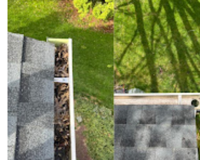 Side-by-side comparison of a guarded and unguarded gutter