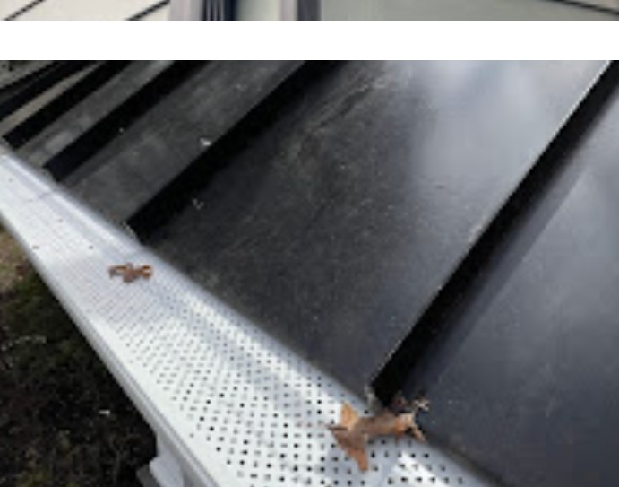 Leaves resting on top of an installed gutter guard instead of inside the gutter